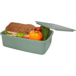 Seasons Dovi 800 ml Lunch Box