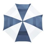 Navy/White