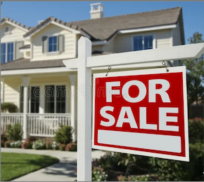 Real Estate