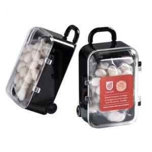 Carry-On Case with Chewy Mints 50g