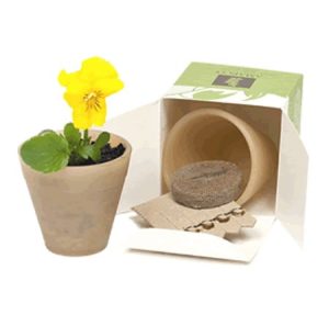 5 Stick Biopot